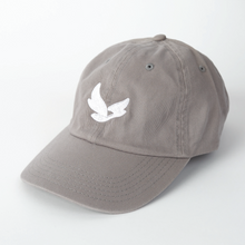 Load image into Gallery viewer, Valucap VC300A (6-Panel Dad Hat) with Embroidery